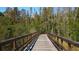 Scenic wooded walking path with a wooden bridge and lush, natural landscaping at 22289 Nebula Way, Land O Lakes, FL 34637