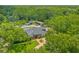 Stunning aerial view of an estate home featuring lush landscaping and mature trees offering privacy at 26221 Pheasant Run, Wesley Chapel, FL 33544