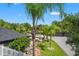 Expansive backyard featuring lush landscaping, and mature palm trees at 26221 Pheasant Run, Wesley Chapel, FL 33544