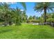 Lush green lawn with palm trees and landscaping, showcasing a serene outdoor space at 26221 Pheasant Run, Wesley Chapel, FL 33544