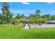 Spacious backyard featuring a charming pergola, green grass, tropical plants, and ample space for outdoor activities at 26221 Pheasant Run, Wesley Chapel, FL 33544