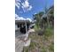 Side yard showing the home's exterior, an overgrown lawn and a large palm tree at 34767 Evergreen Way, Ridge Manor, FL 33523