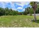Expansive backyard featuring lush greenery, a mature palm tree, and plenty of open space at 3498 Plaza Ave, Spring Hill, FL 34608
