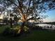The landscaped backyard, lit trees with a tranquil waterfront view with dock is captivating at dusk at 5903 Cachette De Riviera Ct, New Port Richey, FL 34655