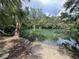 Water access with a rope swing in a lush, tropical setting at 6241 Colony Cir, Weeki Wachee, FL 34607