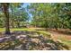Community playground with swings and slide nestled amongst mature shade trees and grassy areas at 8540 Caitlin Ct, Hudson, FL 34667