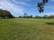 Scenic golf course view featuring a lush green with mature trees under a partly cloudy blue sky at 9168 Southern Comfort Ct, Weeki Wachee, FL 34613