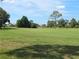 Beautiful golf course view featuring manicured green, scattered trees, and houses in the background at 9168 Southern Comfort Ct, Weeki Wachee, FL 34613