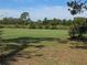 Expansive golf course view showcasing the lush green with mature trees under a bright blue sky at 9168 Southern Comfort Ct, Weeki Wachee, FL 34613