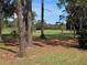 Secluded golf course view featuring a well-maintained green with trees, with a golf cart in the distance at 9168 Southern Comfort Ct, Weeki Wachee, FL 34613