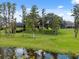 Picturesque backyard with mature trees, lake access, and lush green space at 9829 Sorbonne Loop, Seffner, FL 33584