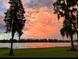 Picturesque lakeside view at sunset with trees draped in Spanish moss at 9829 Sorbonne Loop, Seffner, FL 33584