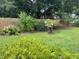 Backyard showing a well-manicured lawn, mature trees, and a wood fence at 1231 Etta Ave, Spring Hill, FL 34609
