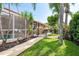 Beautiful backyard with palm trees, manicured landscaping, and a screened-in pool at 1831 Cardamon Dr, Trinity, FL 34655