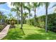 Spacious backyard with well-maintained lawn and privacy hedge with palm trees at 1831 Cardamon Dr, Trinity, FL 34655