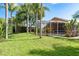 Lush backyard with well-manicured lawn, palm trees, and screened-in lanai at 1831 Cardamon Dr, Trinity, FL 34655
