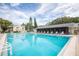Large community pool with lounge chairs and tropical landscaping for a relaxing oasis at 3153 Lake Pine Way # A1, Tarpon Springs, FL 34688