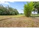 Expansive backyard featuring lush greenery, mature trees, and a wooden fence, offering privacy at 34955 Blanton Rd, Dade City, FL 33523