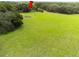Large grassy pasture with scattered trees, a small pile of brush, and grazing livestock at 34955 Blanton Rd, Dade City, FL 33523