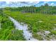 A lush green landscape featuring diverse vegetation with a backdrop of tall trees against a cloudy sky at 6462 River Run Blvd, Weeki Wachee, FL 34607