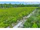 A sprawling green field meets a line of tall trees under a sky with scattered clouds at 6462 River Run Blvd, Weeki Wachee, FL 34607