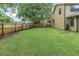 Well-maintained backyard featuring a vibrant lawn, privacy fence, and neat exterior siding at 7230 Hummingbird Ln, New Port Richey, FL 34655