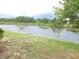 Scenic view of a tranquil lake with lush greenery and trees at 9188 Mississippi Run, Weeki Wachee, FL 34613