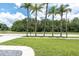 Well-maintained front yard with palm trees and a view of the street at 9212 Calle Alta, New Port Richey, FL 34655