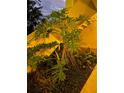 Lush tropical landscaping enhances curb appeal at 1010 Villagio Cir # 106, Sarasota, FL 34237
