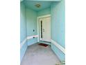 Front entrance with white door and light blue walls at 11420 Captiva Kay Dr, Riverview, FL 33569