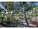 Lush beachfront landscape with palm trees at 7720 Manasota Key Rd, Englewood, FL 34223