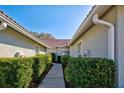 Pathway between two buildings with manicured hedges at 1779 San Silvestro Dr, Venice, FL 34285