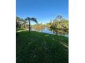 Beautiful waterfront view with a palm tree on a lush green lawn and scenic river view at 3637 Mineola Dr, Sarasota, FL 34239