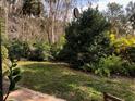 Serene backyard featuring lush greenery and well-maintained lawn surrounded by mature trees and foliage at 7360 Oak Moss Dr # 4, Sarasota, FL 34241