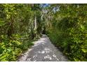 Long driveway lined with lush tropical foliage at 3301 Bay Shore Rd, Sarasota, FL 34234
