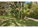 Landscaped yard with a gravel driveway and tropical plants at 3301 Bay Shore Rd, Sarasota, FL 34234