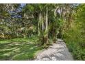 Gravel driveway shaded by large oak and palm trees at 3301 Bay Shore Rd, Sarasota, FL 34234