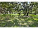 Open backyard with mature trees and lush grass, creating a tranquil and private outdoor space at 14450 Manatee Rd, Parrish, FL 34219