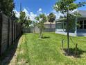 Picture of the large backyard with green grass and newly planted trees at 4860 Florida Rd, Venice, FL 34293