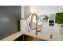 Close-up of a kitchen sink with gold faucet and modern countertop at 18770 Mcgrath Cir, Port Charlotte, FL 33948