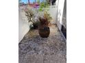 Small patio with potted plants and gravel at 3500 El Conquistador Pkwy # 307, Bradenton, FL 34210
