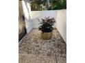 Private patio with potted plant and gravel at 3500 El Conquistador Pkwy # 307, Bradenton, FL 34210