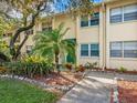 Side view of condo building showcasing landscaping and walkway at 4800 Rilma Ave # 143, Sarasota, FL 34234