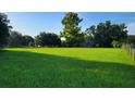 Vacant lot with mature trees and grassy area at 12004 Big Bend Rd, Riverview, FL 33579