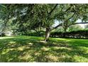 Serene backyard with a mature tree and manicured greenery, offering a peaceful outdoor space at 4072 Fairway Pl, North Port, FL 34287