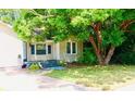 Cozy single-story house featuring light yellow siding and a mature tree providing shade in the front yard at 5415 5Th N Ave, St Petersburg, FL 33710