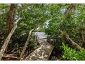Wooden dock leading to a tranquil waterway through lush foliage at 8440 Sanderling Rd, Sarasota, FL 34242