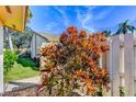 Landscaped backyard with colorful foliage and fence at 2907 63Rd W St, Bradenton, FL 34209