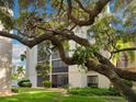 Condo building exterior with a large oak tree in front at 6157 Midnight Pass Rd # E12, Sarasota, FL 34242