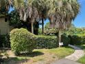 Brick path leads to landscaped green space and manicured bushes with tropical palm trees at 3810 75Th W St # 116, Bradenton, FL 34209